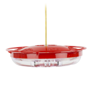 Large High Perch Hummingbird Feeder Wild Birds Unlimited