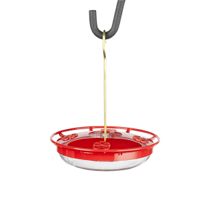 Medium High Perch™ Hummingbird Feeder | Wild Birds Unlimited