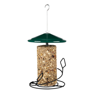 Seed Cylinder Feeder (Green) | Wild Birds Unlimited