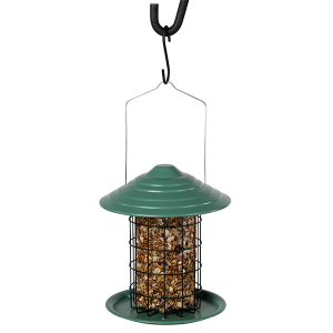 Bug Nut & Berry Cylinder
