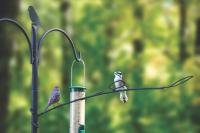 Poles, Baffles & Hobby Products | Wild Birds Unlimited