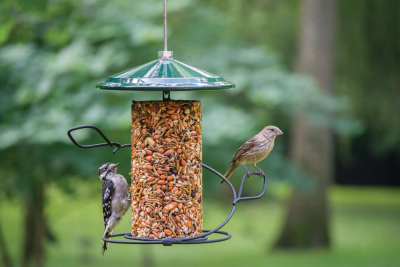 Specialty Feeders | Wild Birds Unlimited