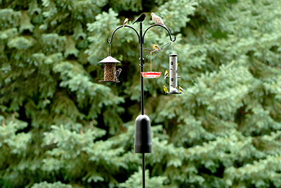 WBU Wren/Chickadee boxes (wood and EcoTough, EcoTough Green Roof)